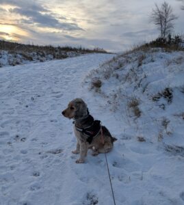 pxl 20260106 091035774