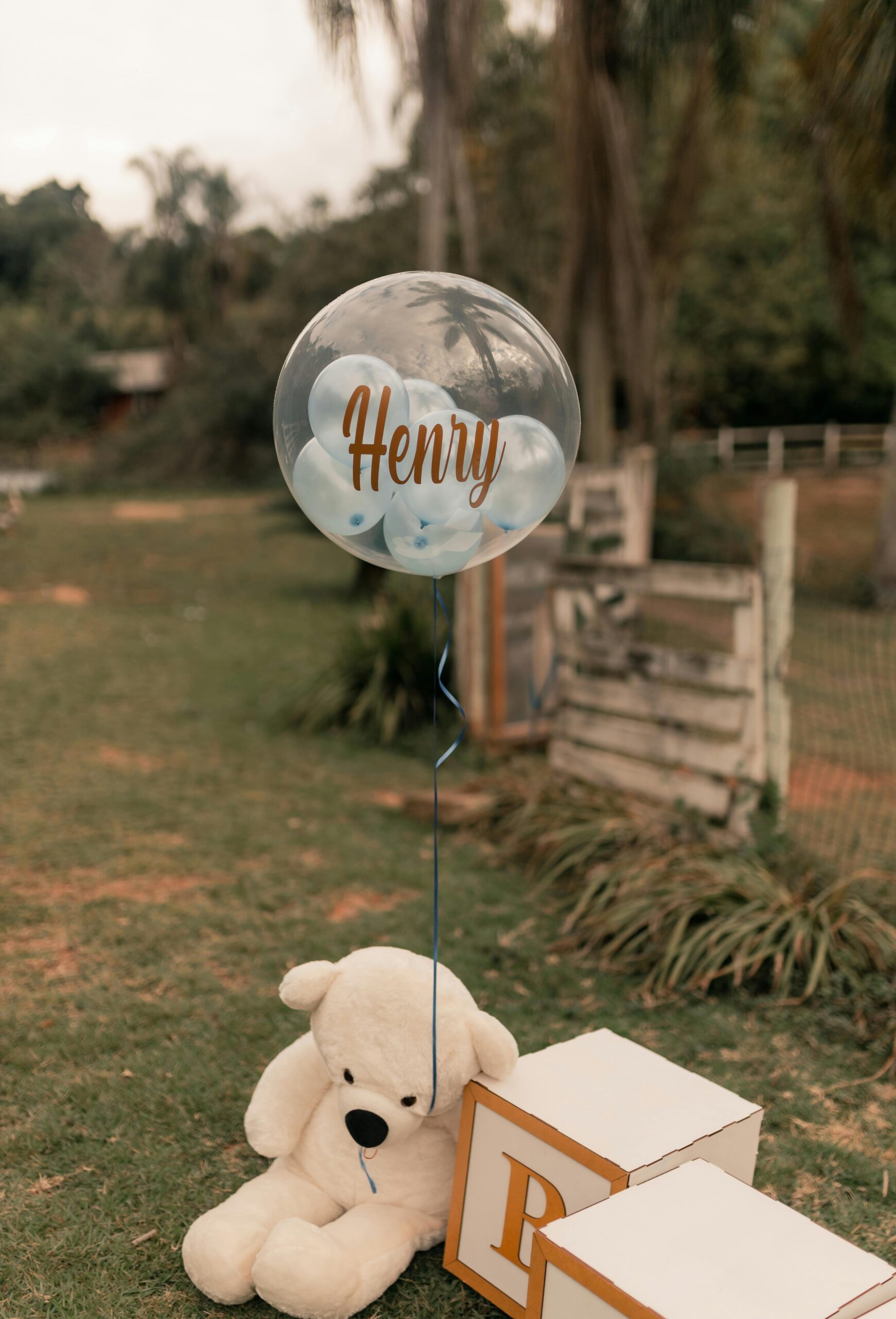 Charming outdoor baby shower scene featuring a teddy bear and personalized balloon.